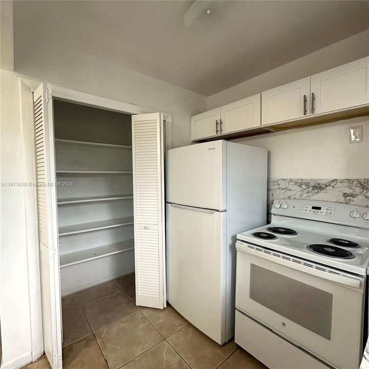 New kitchen has spacious pantry for easy access.