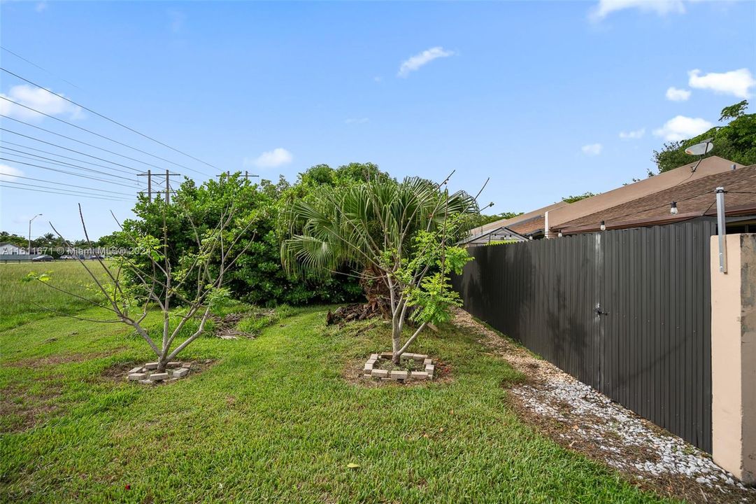 Additional Green space behind home