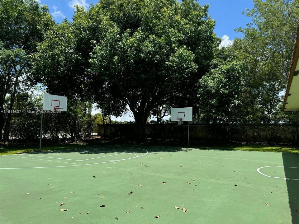 Basketball Court