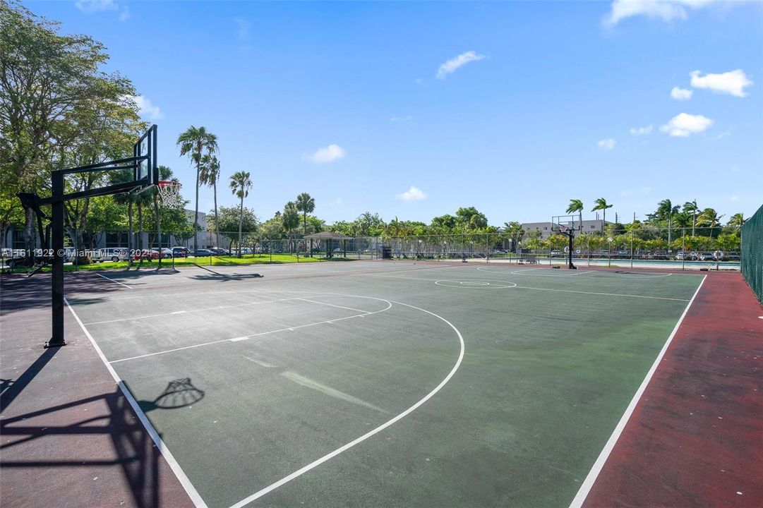 Basketball court!