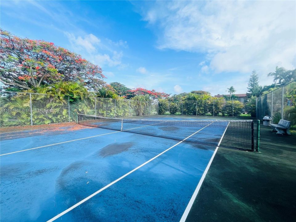 Tennis Court