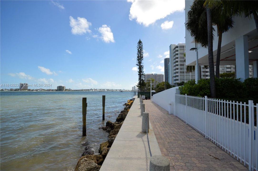 Quiet and peaceful walk and jogging along the water