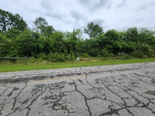 En Venta: $65,000 (1.25 acres)