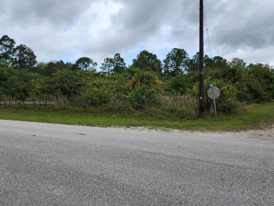 En Venta: $65,000 (1.25 acres)