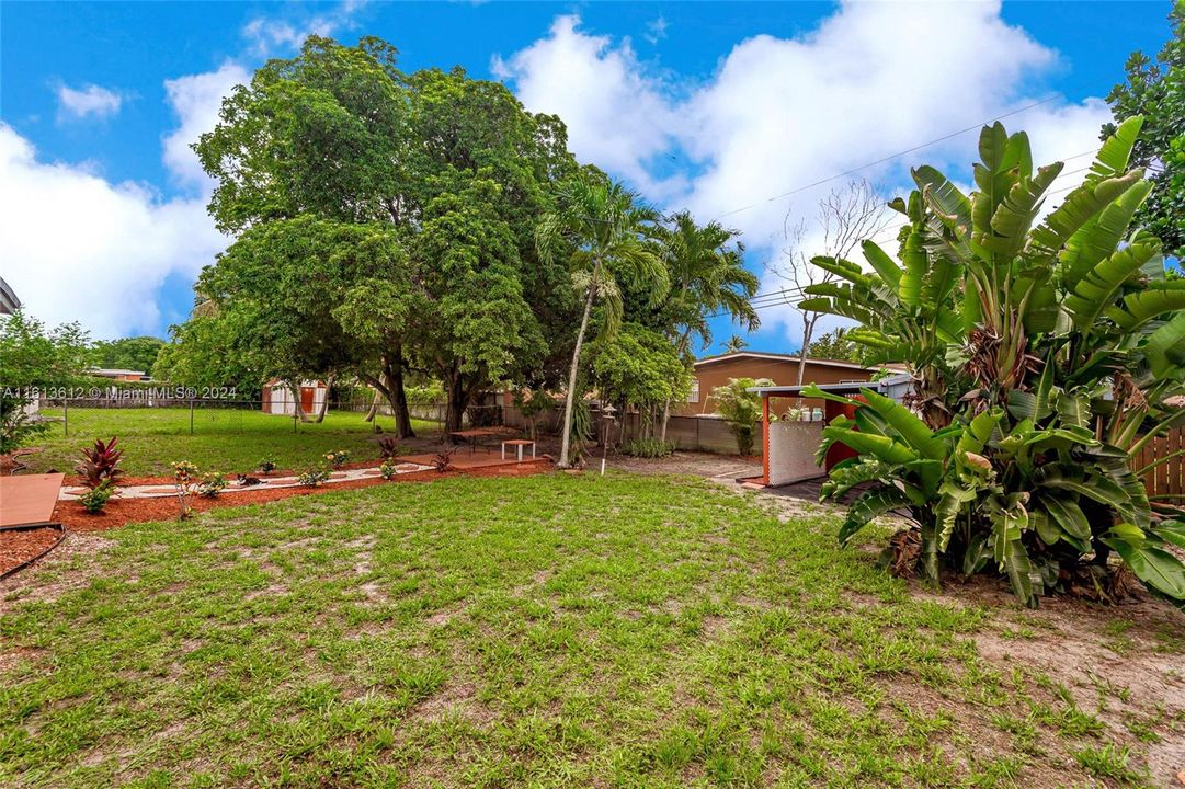 Another view of the backyard and the 2 large fruit trees, Avocado and Sapodilla.