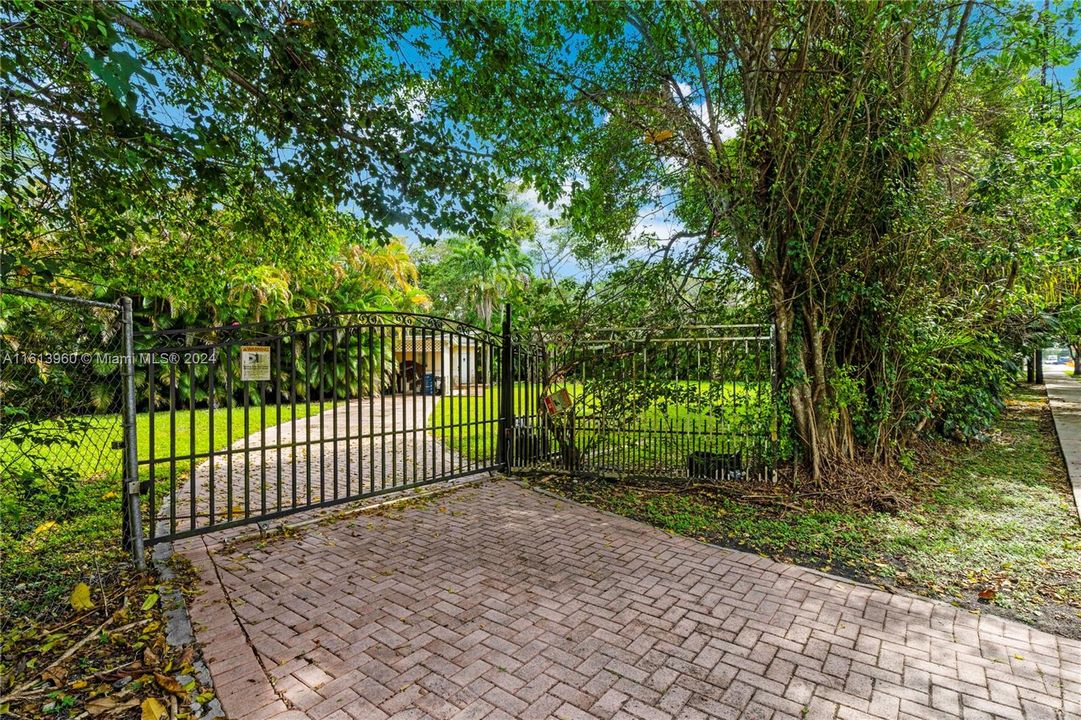 Driveway & Front Yard