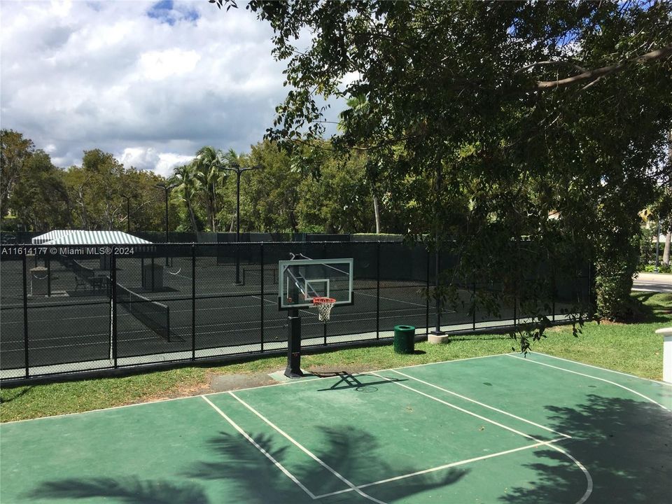 Half Basketball Court