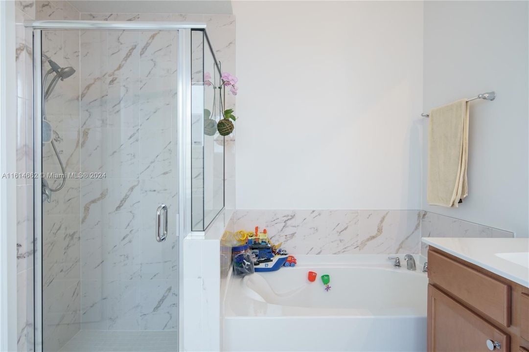 Master Bathroom with Tub and Shower