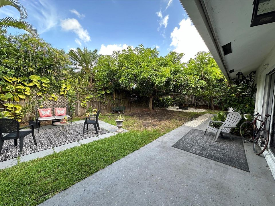 BACKYARD & FRUIT TREES