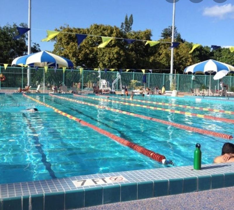 Flamingo Park pool