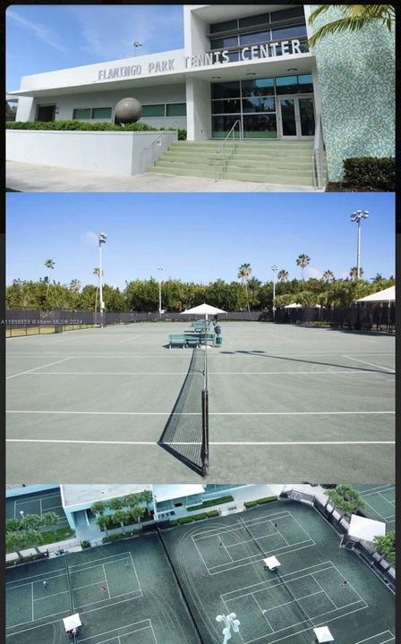 Flamingo Park Tennis center