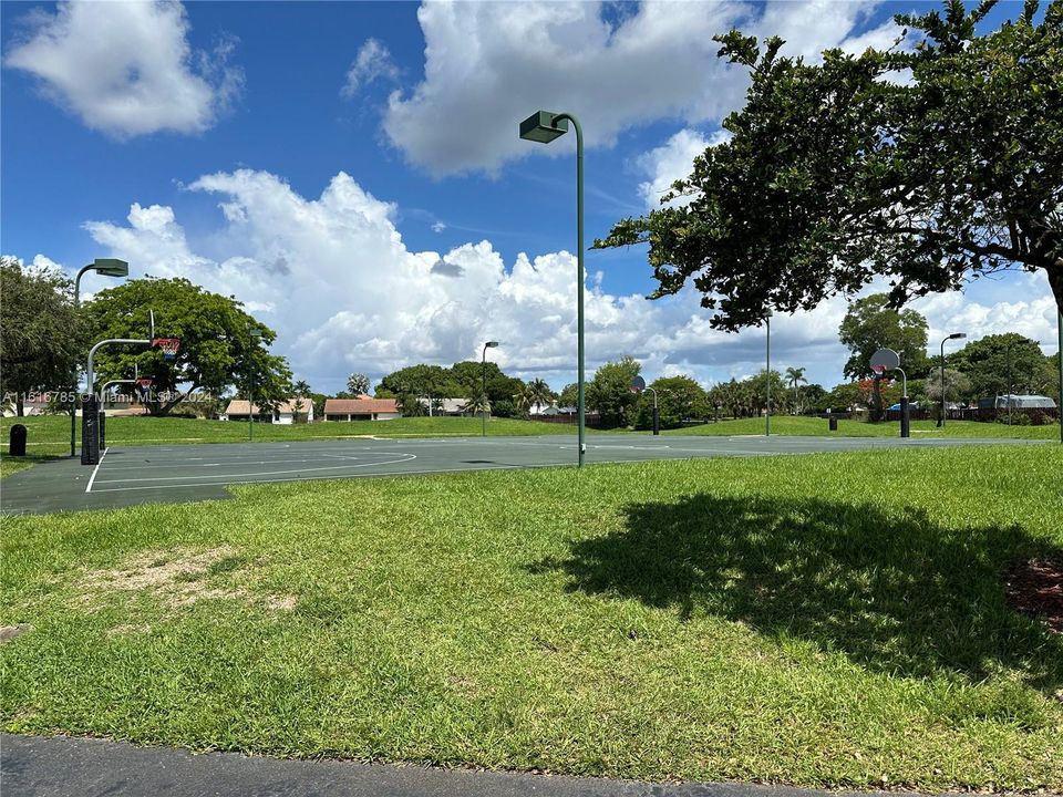 Basketball court