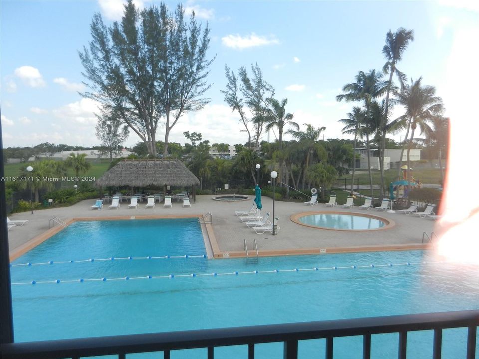 Olympic size heated pool, jacuzzi, kiddie pool