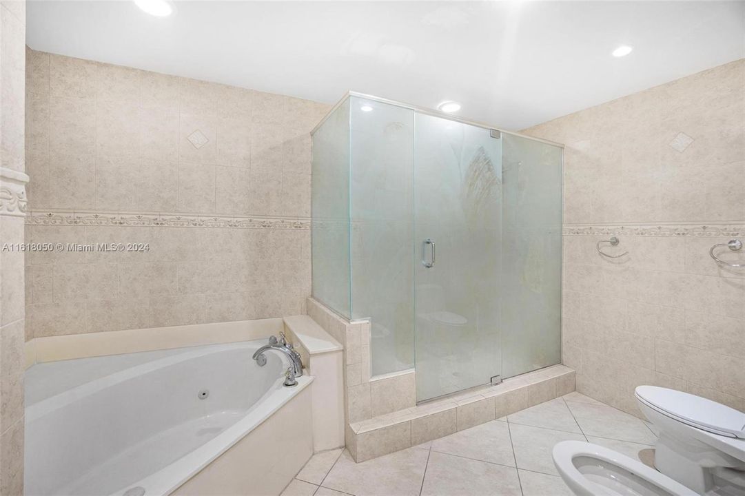 Roman jet bathtub, Bidet and separate shower