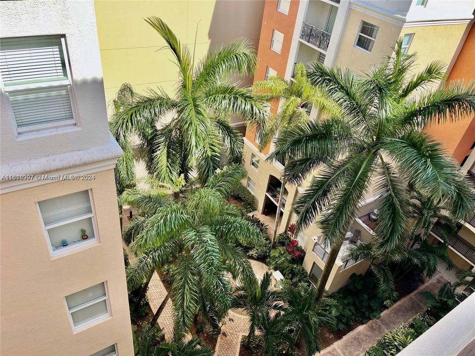 Balcony Garden View