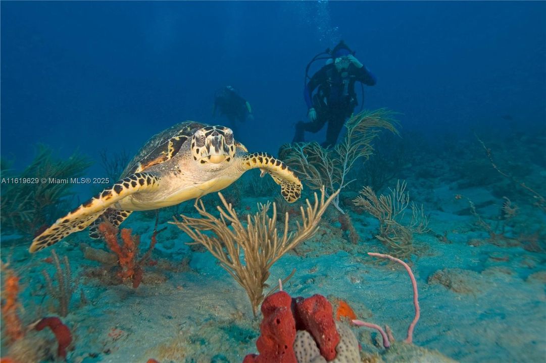 For Sale: $119,000 (1 beds, 1 baths, 0 Square Feet)