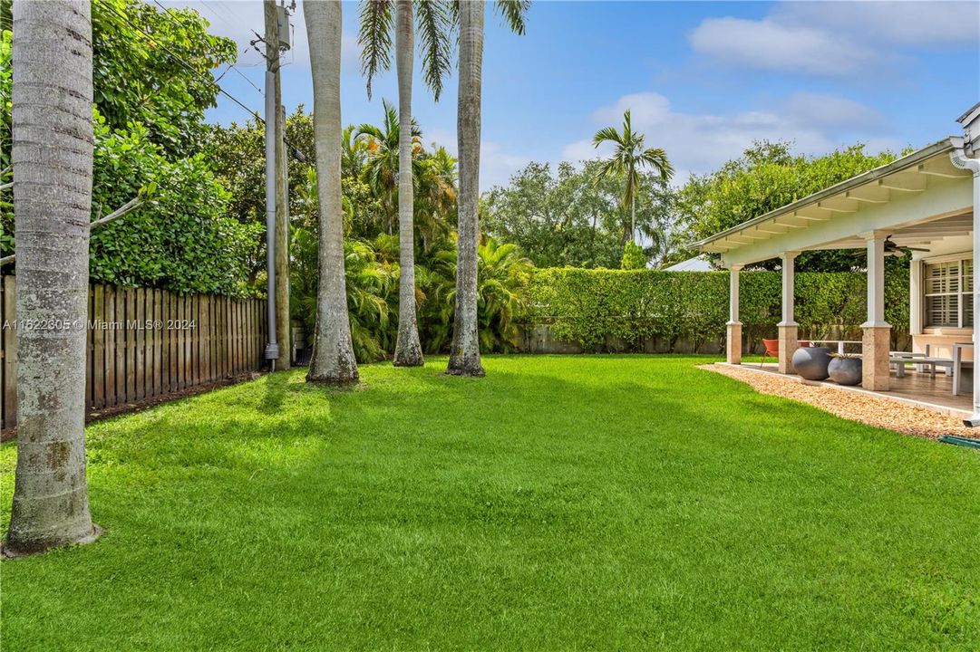 Palm Tree Area looking towards the Terrace