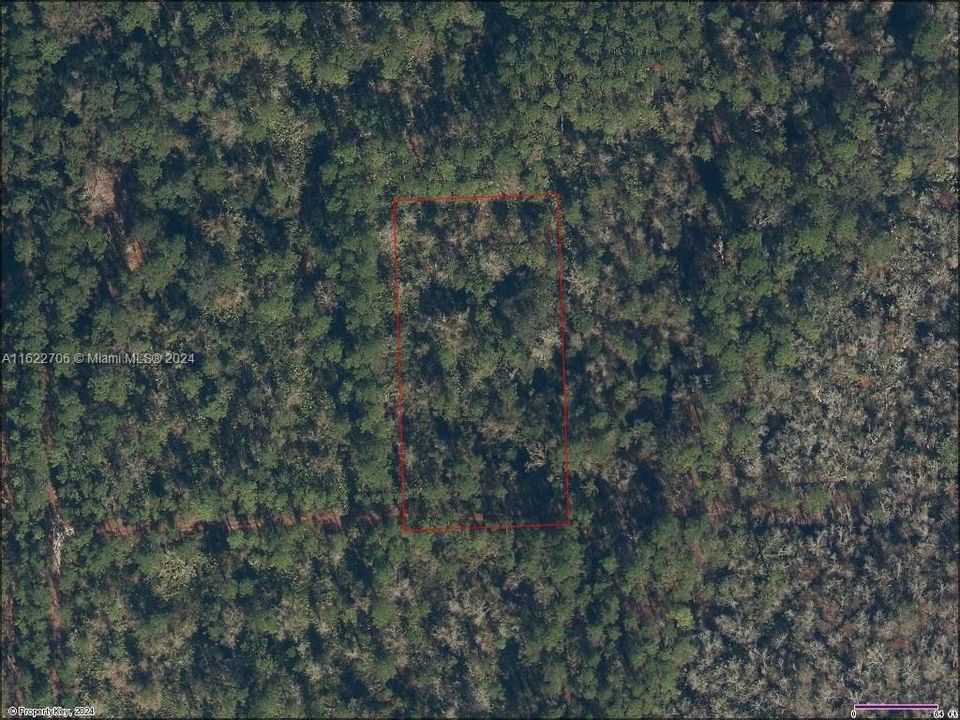 待售: $28,500 (1.25 acres)