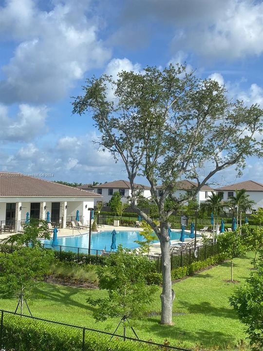 View to the pool