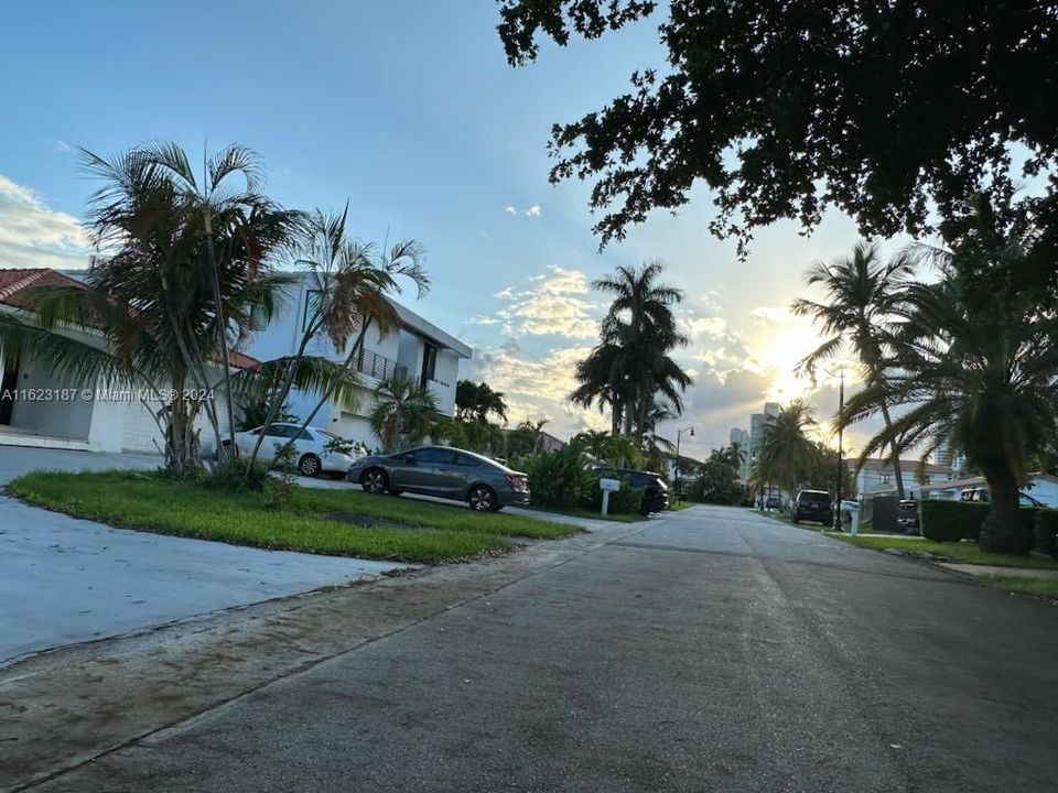 West view of street