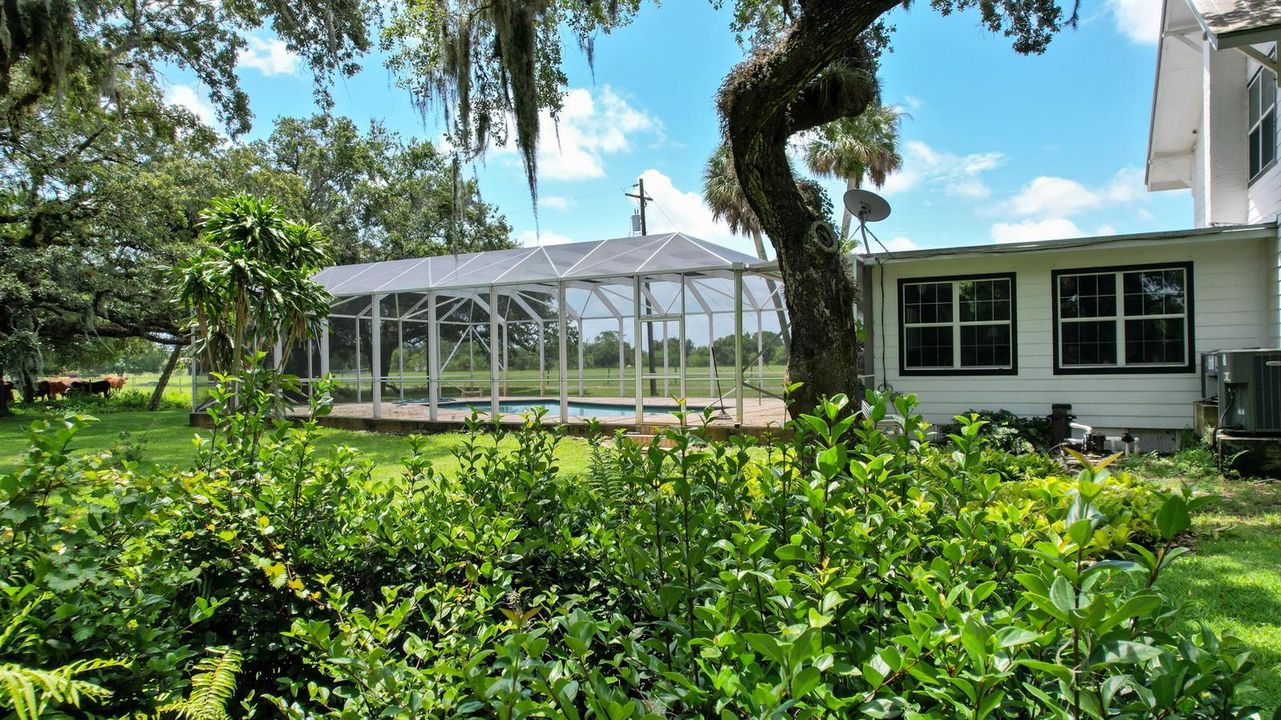 main house backyard/pool