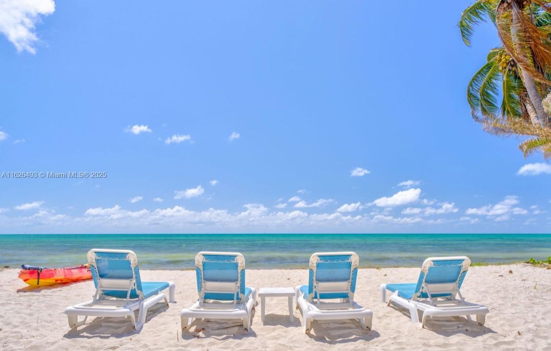 For Sale: $4,999,900 (4 beds, 4 baths, 3001 Square Feet)