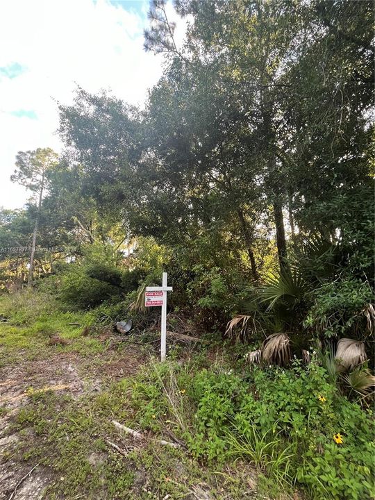 En Venta: $20,000 (0.21 acres)