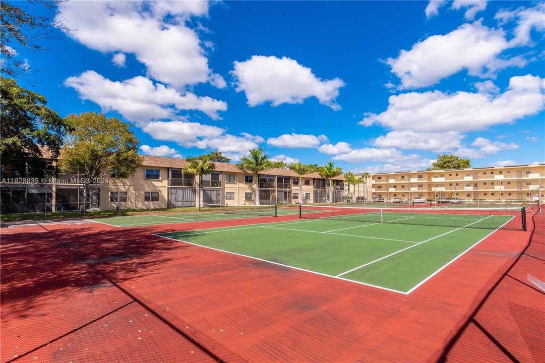 Basketball court