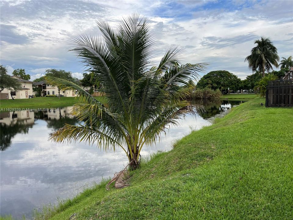 Active With Contract: $390,000 (2 beds, 2 baths, 950 Square Feet)