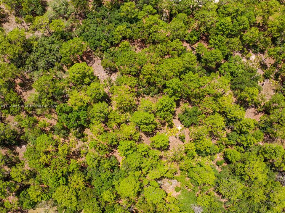 Activo con contrato: $115,000 (1.81 acres)