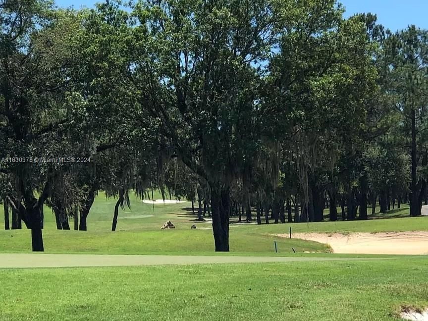 View of Golf Green from Plantation Pines Ct