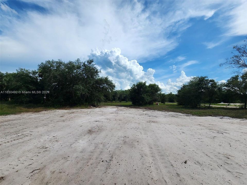 En Venta: $39,000 (1.25 acres)