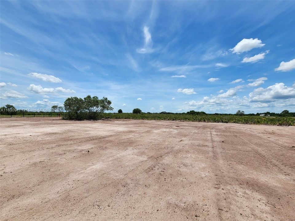 For Sale: $46,000 (1.25 acres)