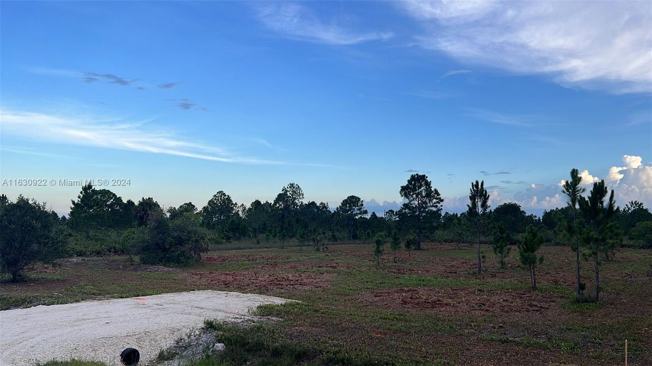 En Venta: $39,000 (1.25 acres)