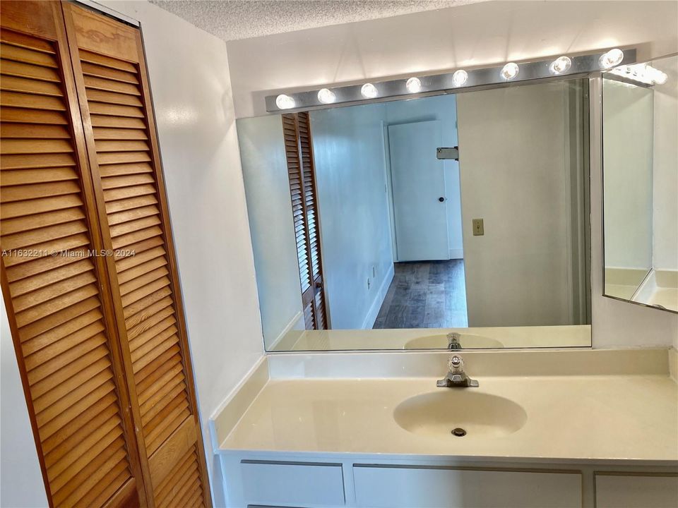 Master bedroom's bath and walk in closet door
