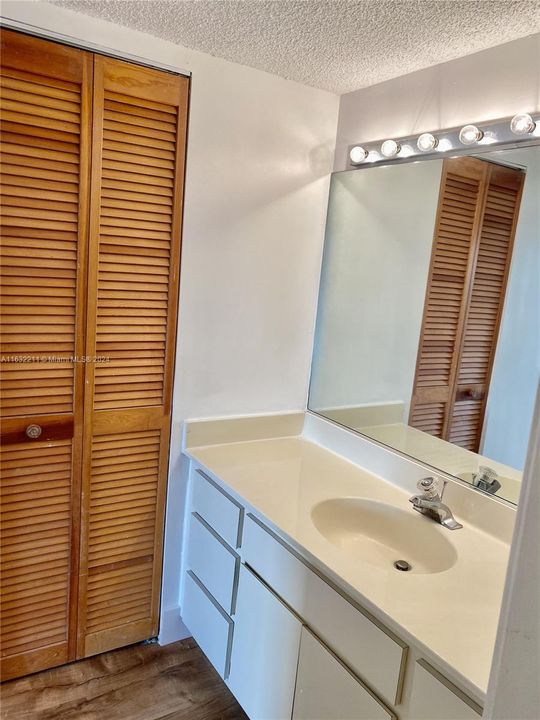 Master bedroom's sink and walk in closet door