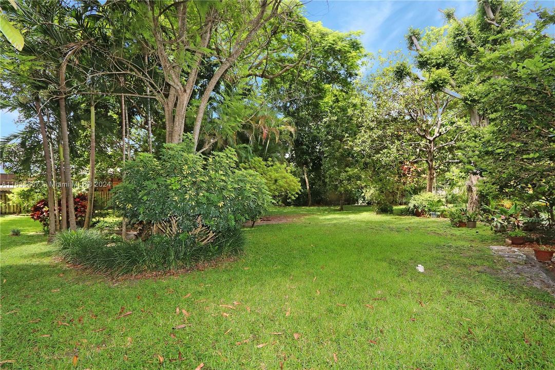 Completely Fenced Yard with Various Fruit Trees