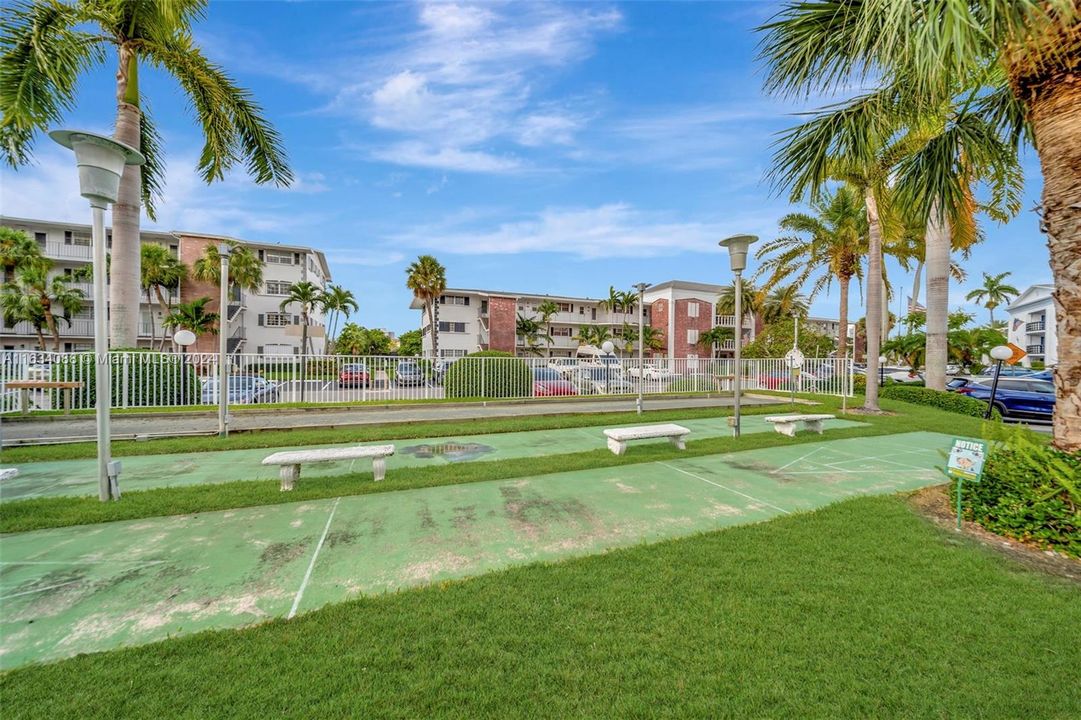 Community Shuffleboard