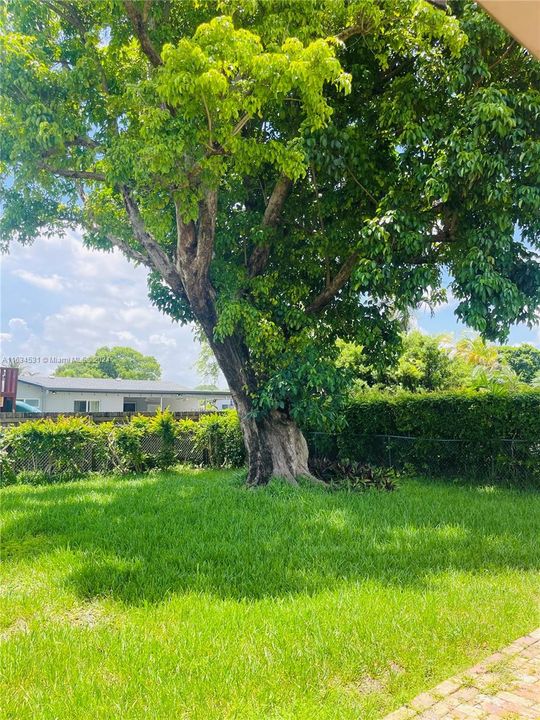 Recently Sold: $725,000 (3 beds, 2 baths, 1553 Square Feet)