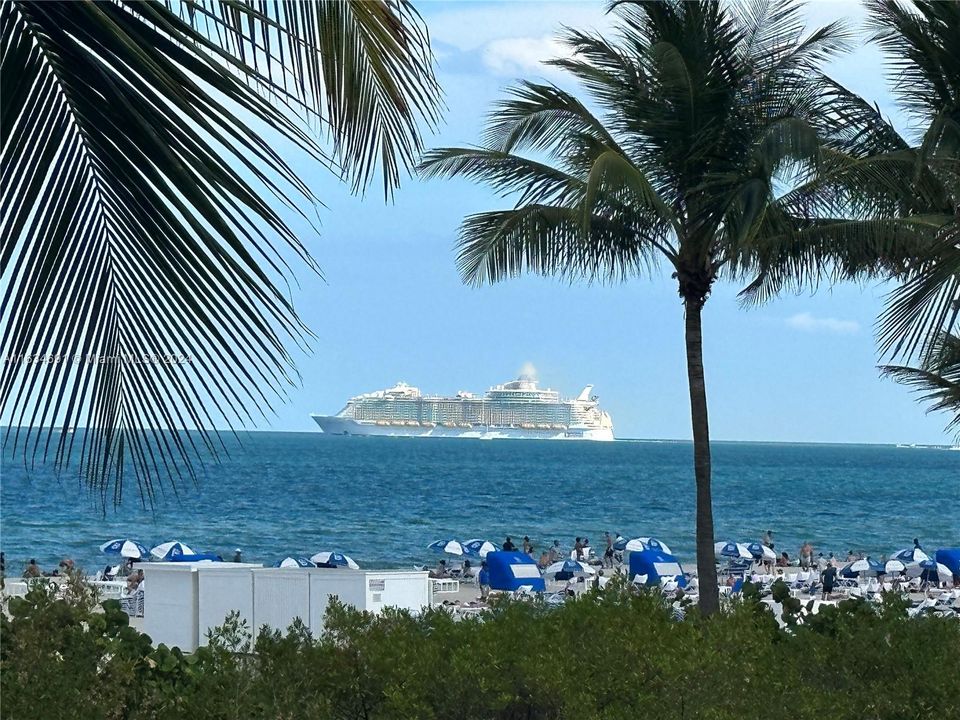 See cruise ships