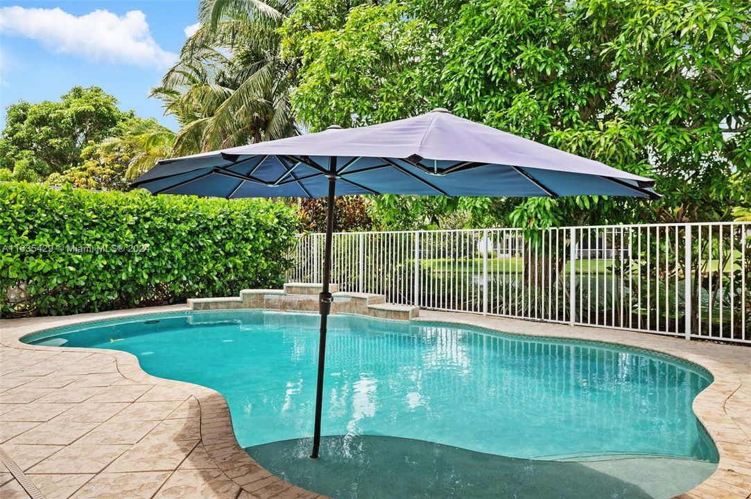 Very private salt water pool with built-in sun shelf & umbrella holder - great to add a lounge chair and for taning!