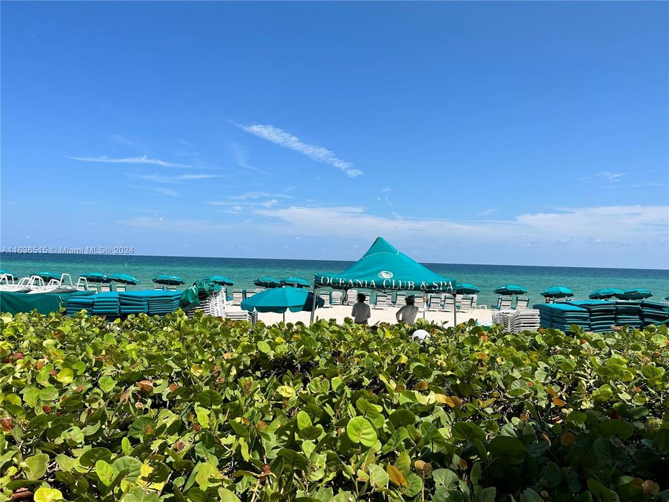 Recently Rented: $4,700 (2 beds, 2 baths, 1530 Square Feet)