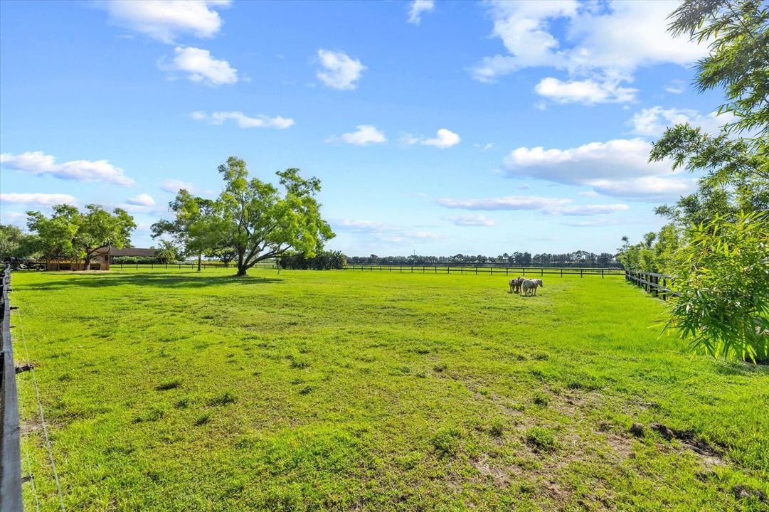 41-DSC03522