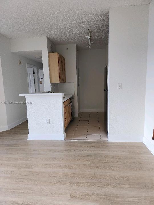 looking from dining area