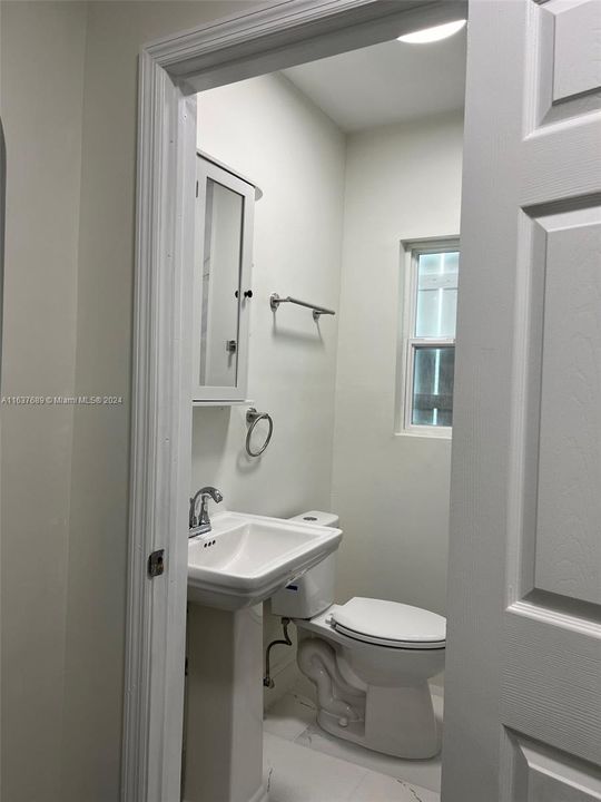 New pedestal sink and toilet