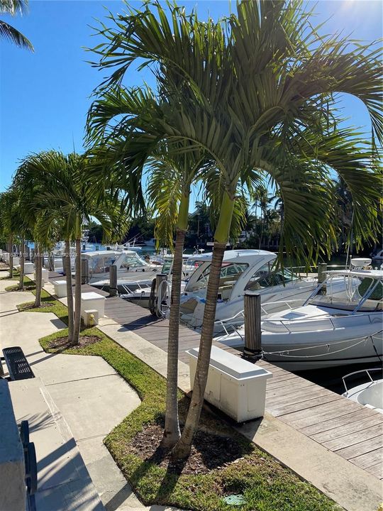 Недавно арендовано: $4,400 (2 спален, 2 ванн, 1310 Квадратных фут)