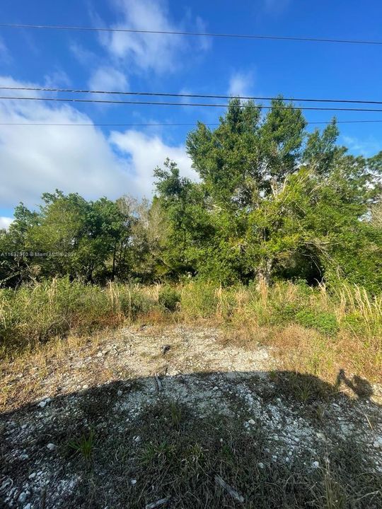 Vendido Recientemente: $90,000 (1.14 acres)