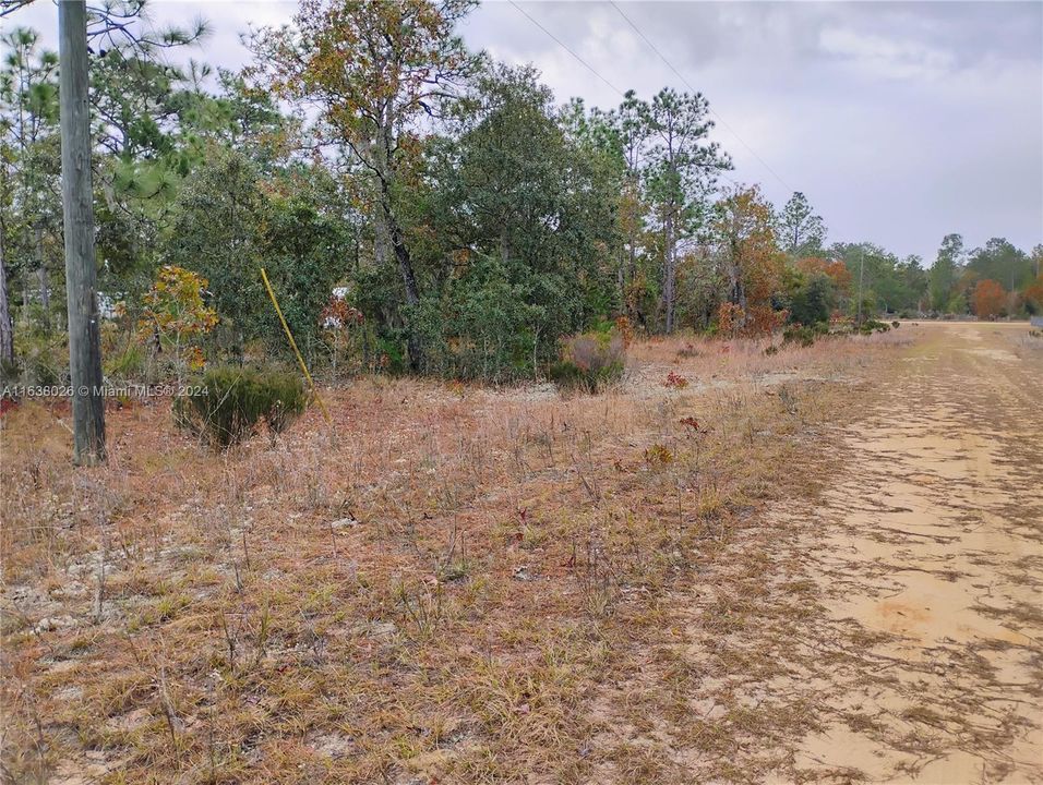 For Sale: $4,500 (0.23 acres)