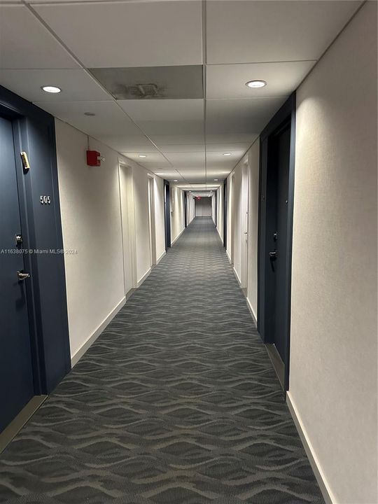 5th Floor Corridors