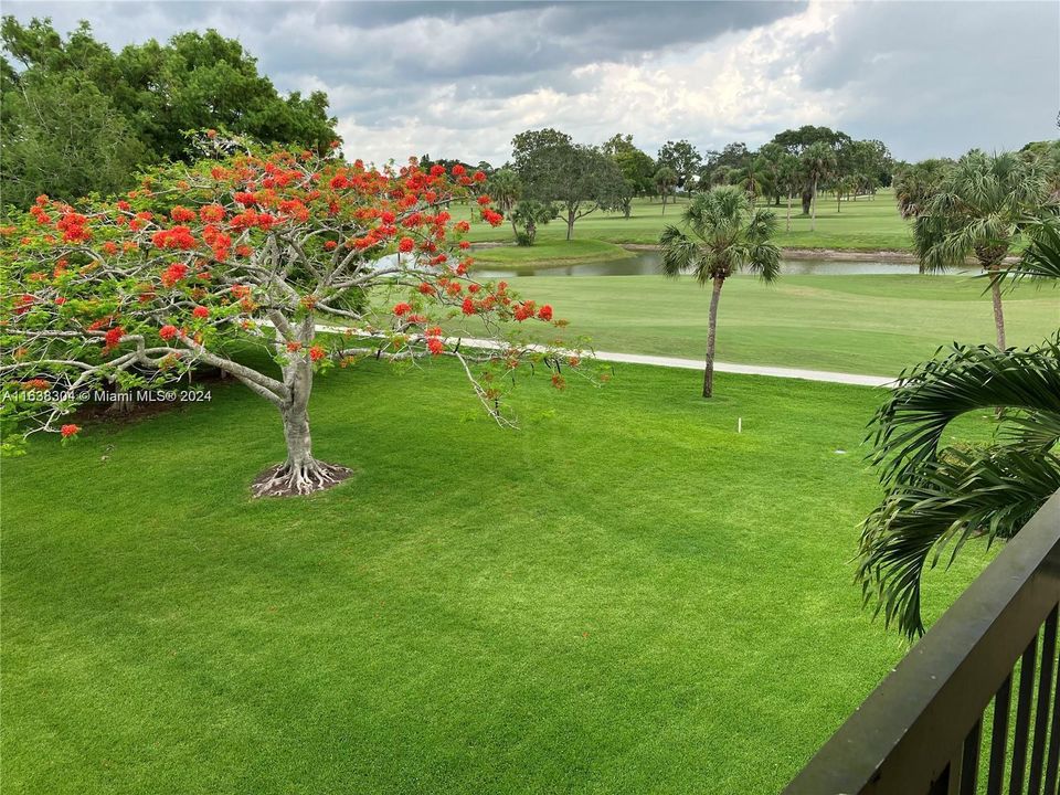 Beautiful views of thwe golf course and lakes from the condo